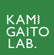 KAMI GAITO LAB. Department of Molecular and Macromolecular Chemistry