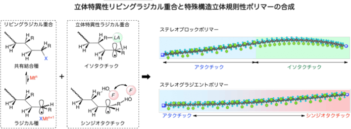 立体特異性リビングラジカル重合と特殊構造立体規則性ポリマーの合成